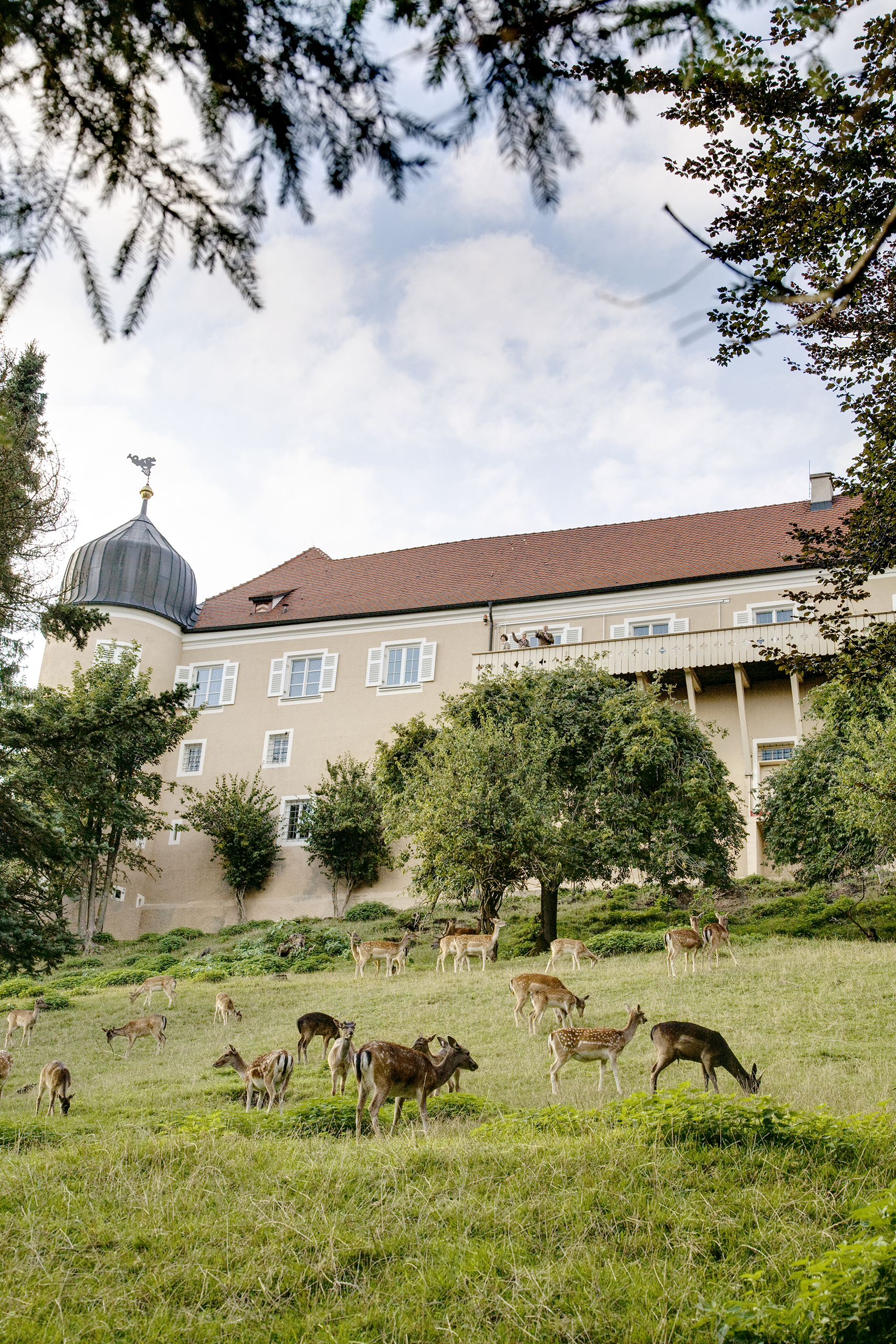 Schloss Kronburg Natur